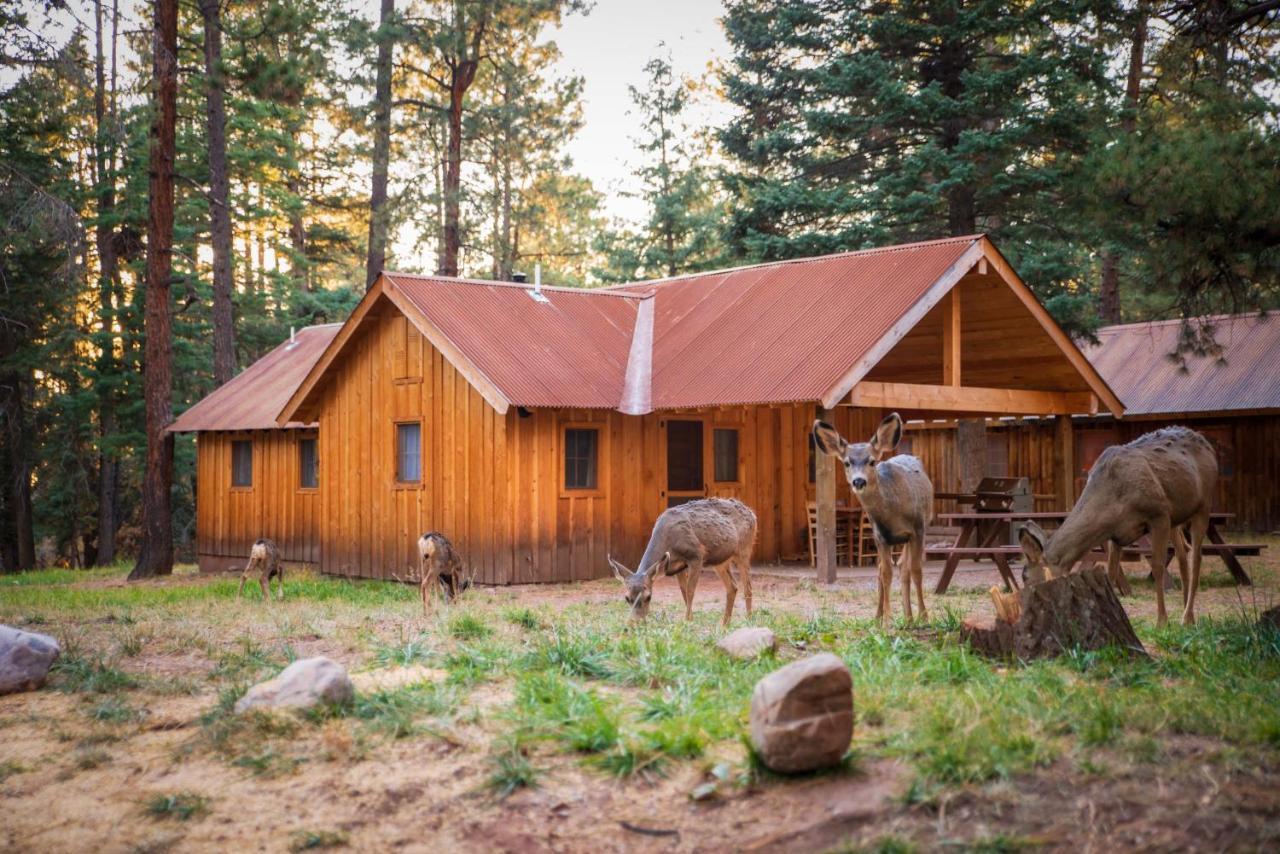 Corkins Lodge Chama Kültér fotó