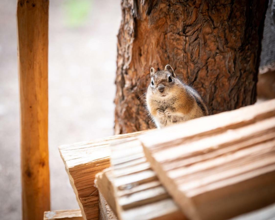 Corkins Lodge Chama Kültér fotó